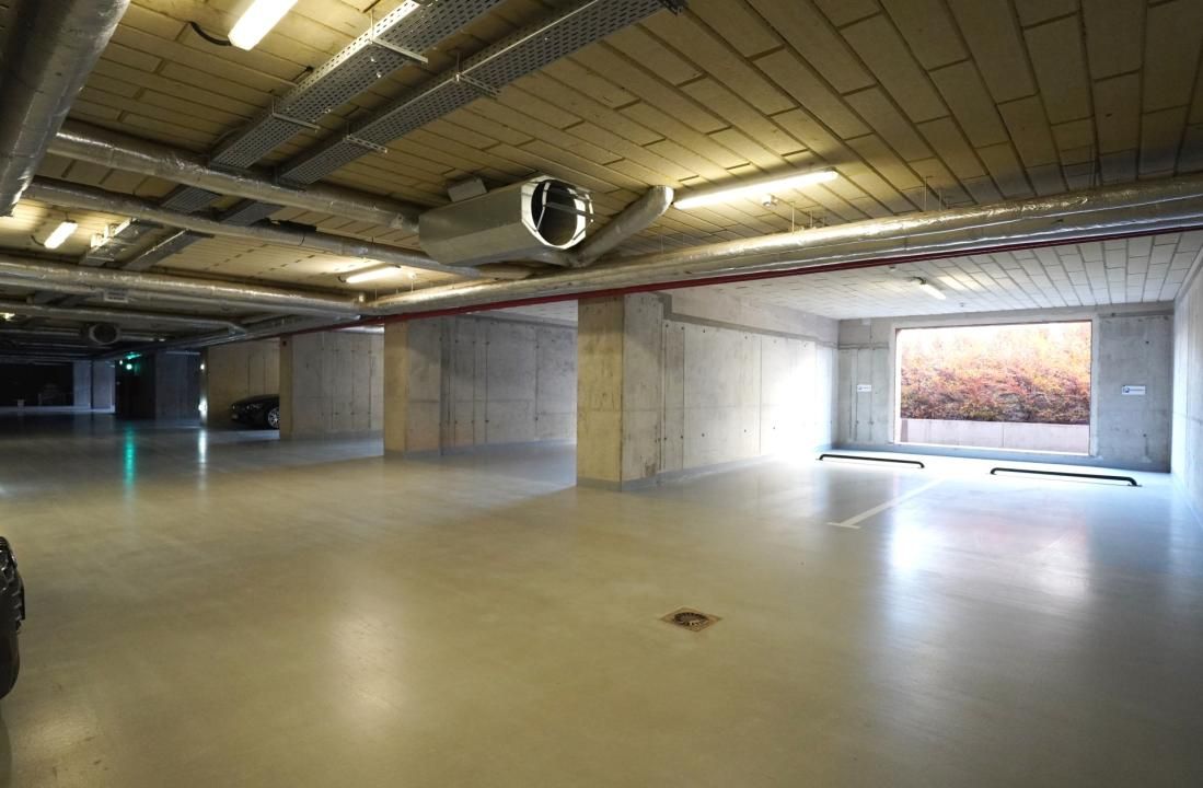 2 CAMERE | Floreasca - Fabrica de Glucoza-TERASA 7 MP | Gradina 40 MP – fotografia 14 din 14