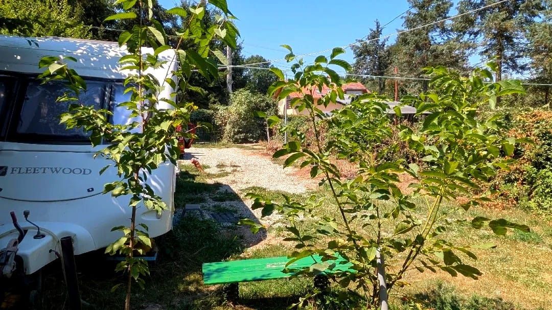 Teren intravilan Tocile, 1.093 mp / livadă, cabană, rulotă și o toamna frumoasă! – fotografia 15 din 37