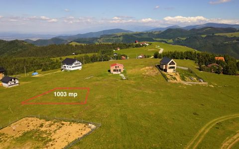 Teren 1003 mp în Păltiniș | Priveliște panoramică către munți