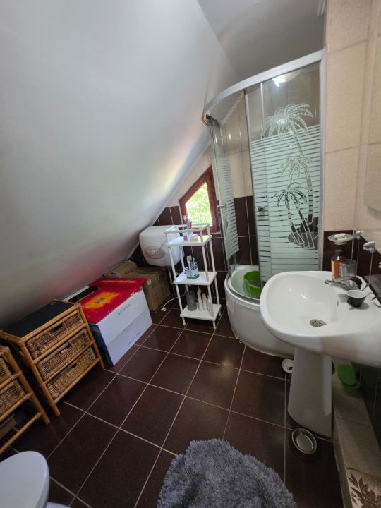 🏡 PROPRIETATE EXTRAORDINARĂ– LOTRIOARA, JUDEȚUL SIBIU! 🌲 – fotografia 21 din 72