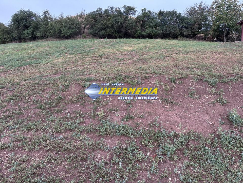 Teren intravilan de vanzare 1300 mp in Sard – fotografia 4 din 4
