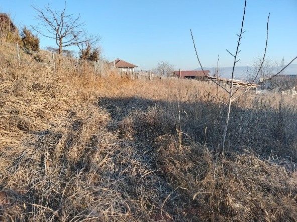 1400 mp. Deschidere 38 m Teren Intravilan CETATE Valea Popii utilitatile langa – fotografia 5 din 8