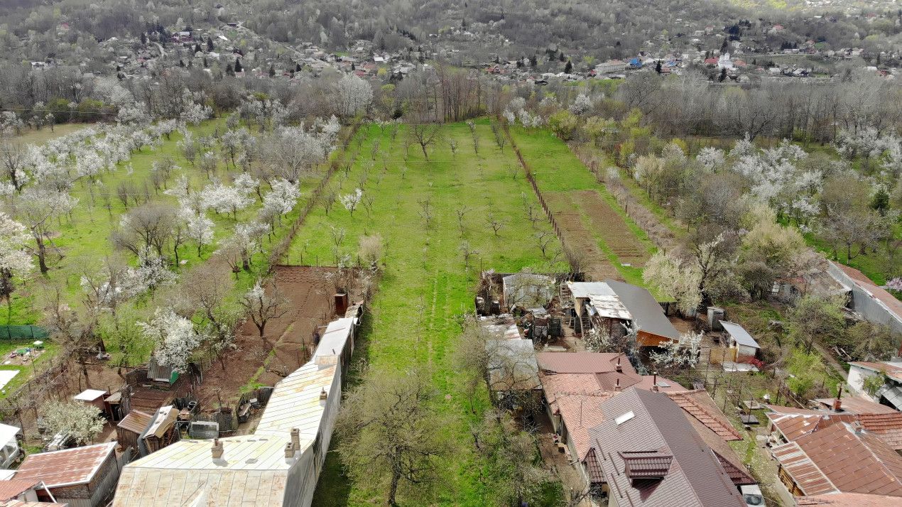 4898 MP Teren Intravilan | Prahova - Cornu De Jos | Toate Utilitatile Prezente – fotografia 4 din 7