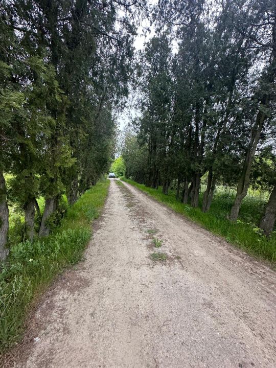 Investitie Litoral! Teren intravilan de vanzare | 46.000mp | Neptun – fotografia 24 din 24