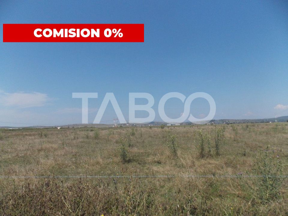 Teren intravilan 31300 mp utilitati autorizatie de constructie Sibiu – fotografia 2 din 2