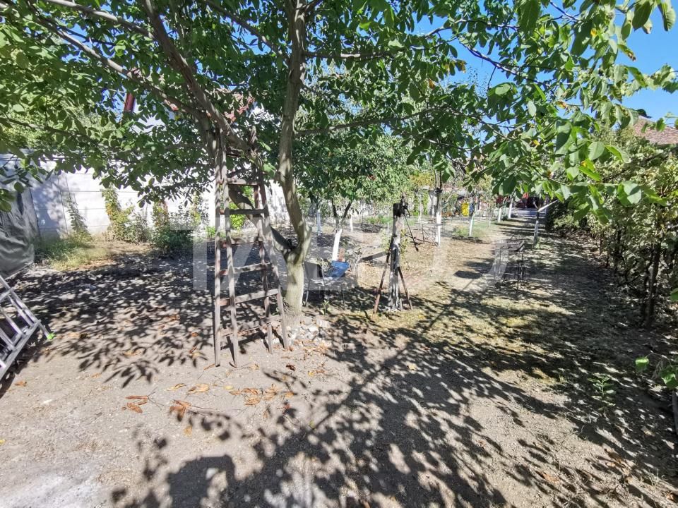 Casa individuala cu 5 camere si 687 mp teren in zona Lazaret – fotografia 7 din 16