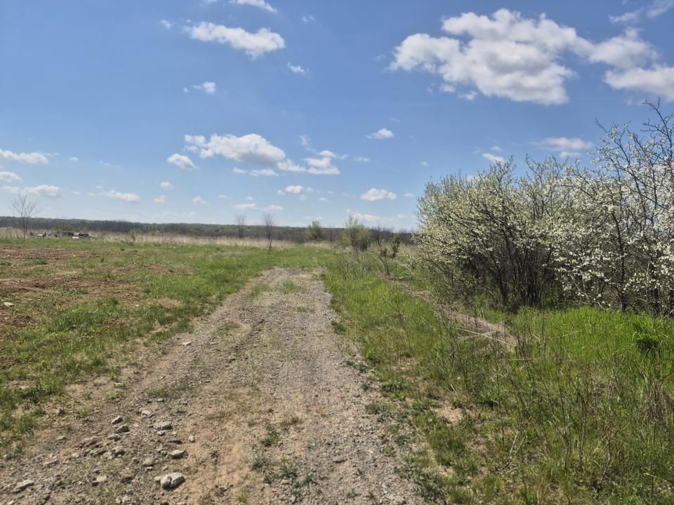 Vanzare casa in Albota Arges 3 camere constructie 2024 – fotografia 13 din 19