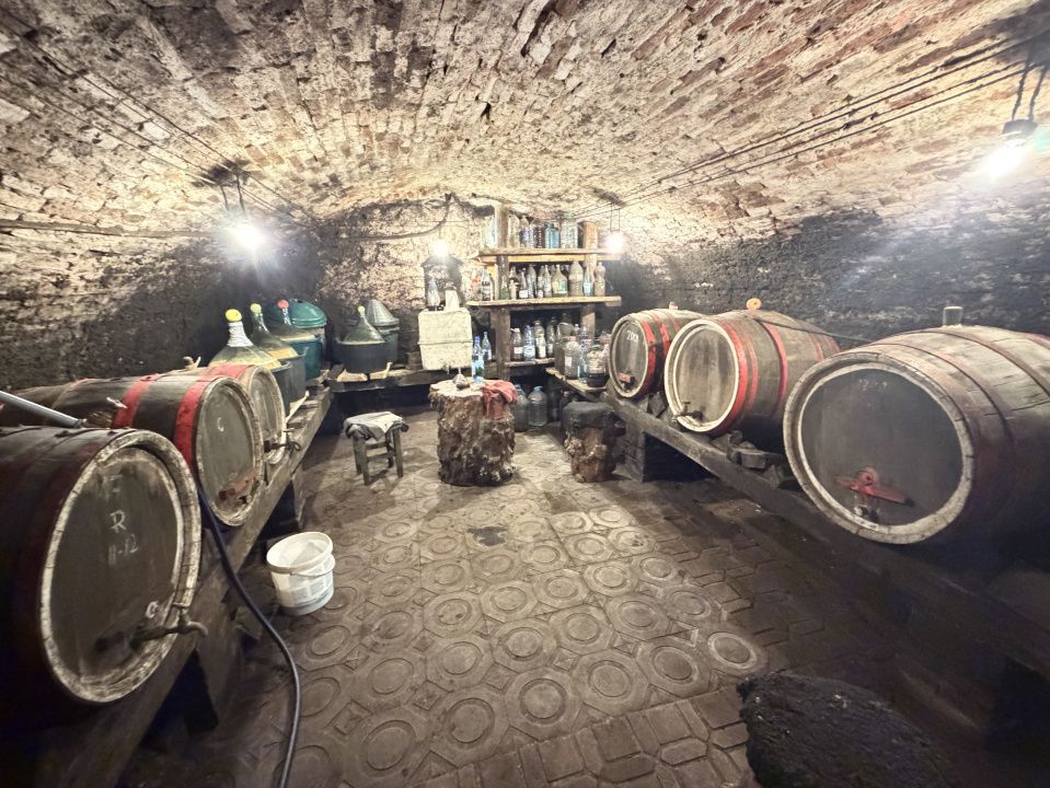 CASĂ DE VÂNZARE ÎN ȘARD, COMUNA IGHIU – TEREN 2.709 MP | 2 CASE | GARAJE | ANEXE – fotografia 14 din 23