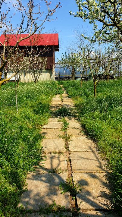 Casa cu teren 1200 mp situata in Localitatea Mihai Kogalniceanu – fotografia 12 din 14