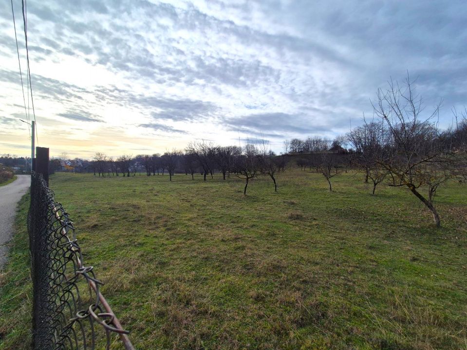 Teren intravilan Vălenii de Munte – 3.000 mp Ideal investiție sau locuinta – fotografia 8 din 29