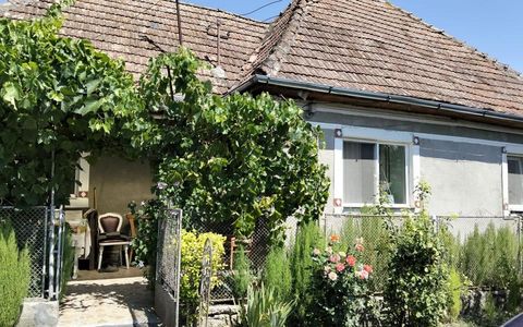 Casă 60 mp utili, teren 1.400 mp | Borșa (Răscruci), Cluj