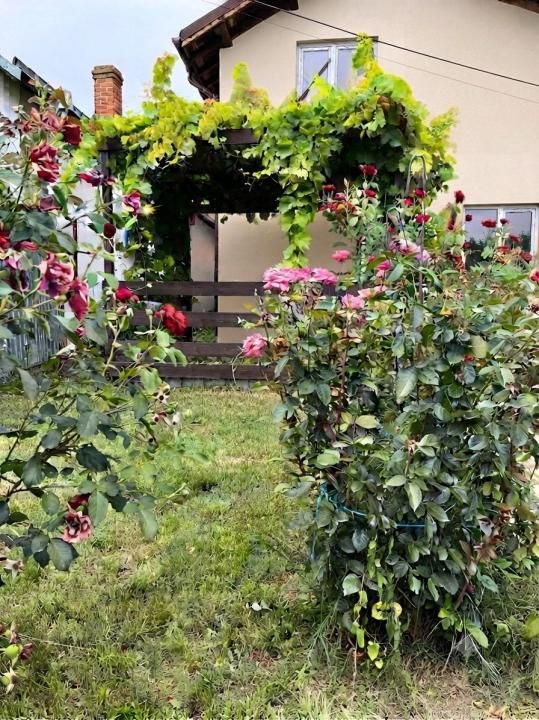 Casa la rosu - 25 km pana in Bucuresti - living 36mp – fotografia 6 din 12