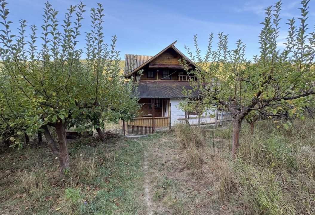 Micesti 12 km de Pitesti/ 2 cabane/ 2.500 mp teren/ priveliste superba – fotografia 4 din 15