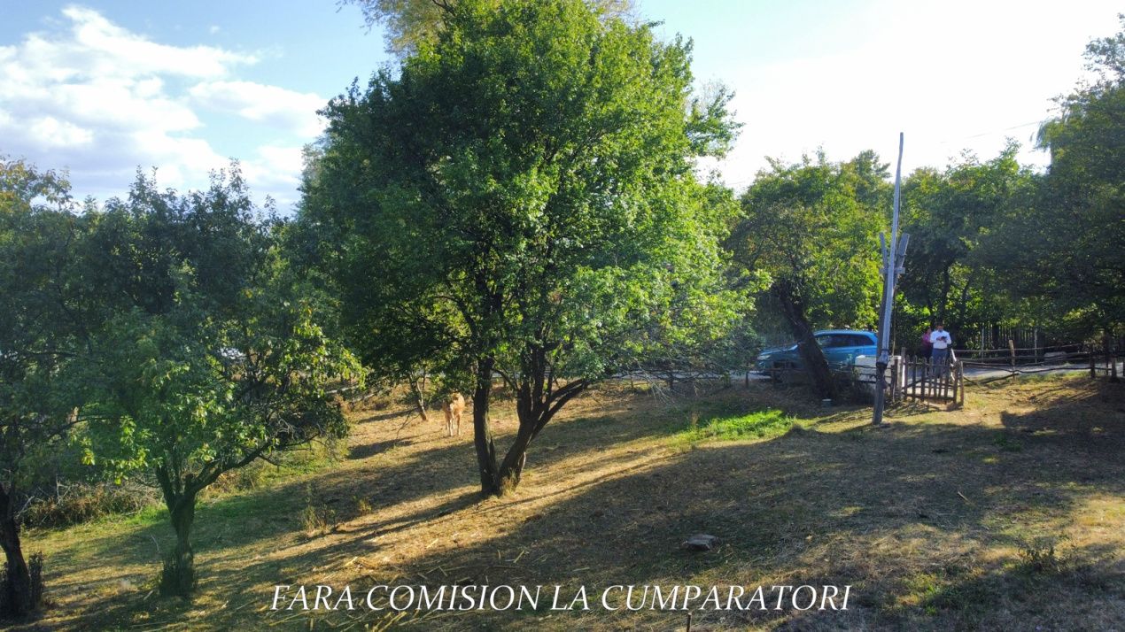TEREN 5274 MP, CADRU NATURAL MINUNAT – fotografia 11 din 17
