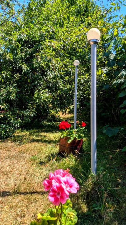 Teren intravilan Tocile, 1.093 mp / livadă, cabană, rulotă și o toamna frumoasă! – fotografia 35 din 37