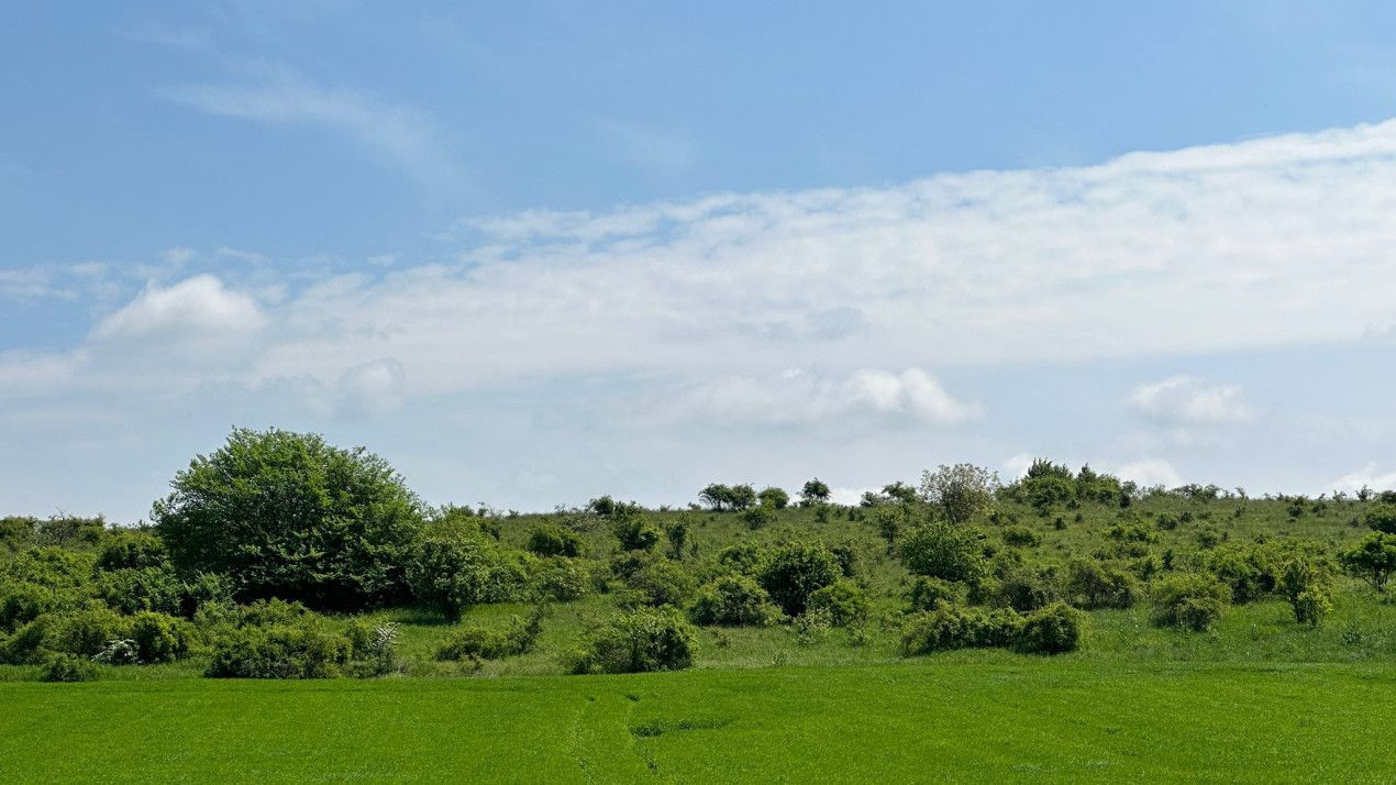 Teren Extravilan de Vanzare, zona Episcopia, Oradea, judetul Bihor – fotografia 4 din 6