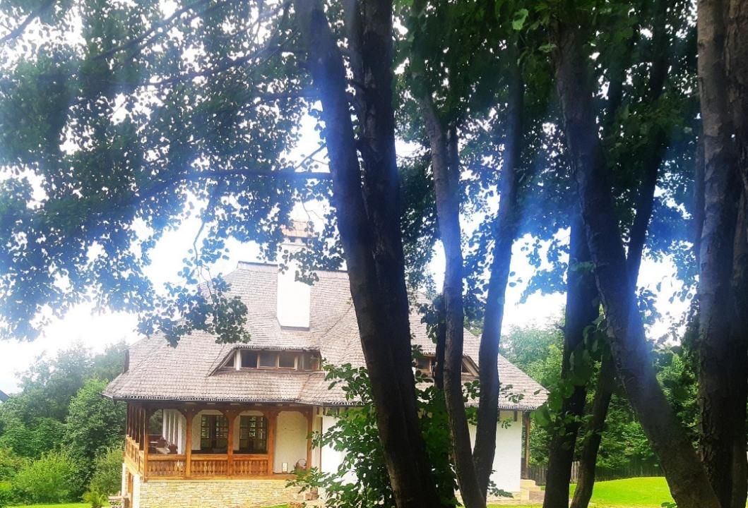 Casă individual în Sălicea | 3.000 mp de curte, foișor – fotografia 11 din 13