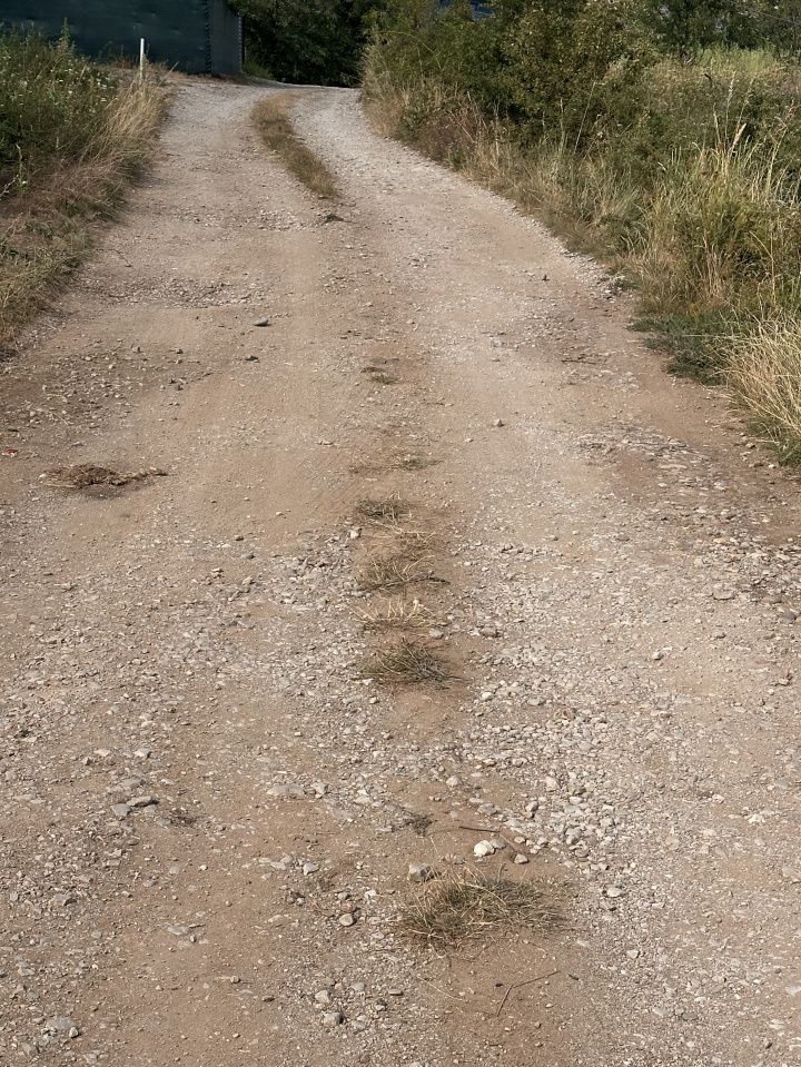 TEREN INTRAVILAN 510 MP I zona VALEA POPII I DESCHIDERE LA STRADA 17 ML – fotografia 5 din 5