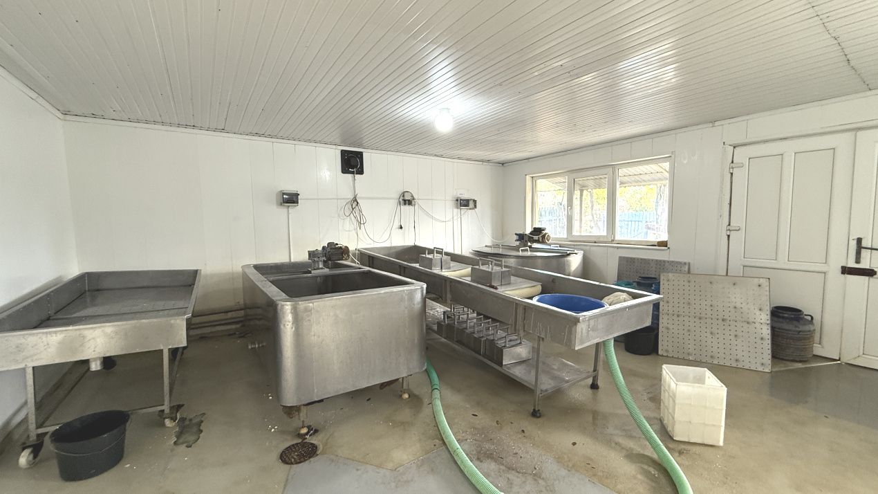 Făbrică de producție brânzeturi, Business funcțional, 25 de ani activitate – fotografia 8 din 16
