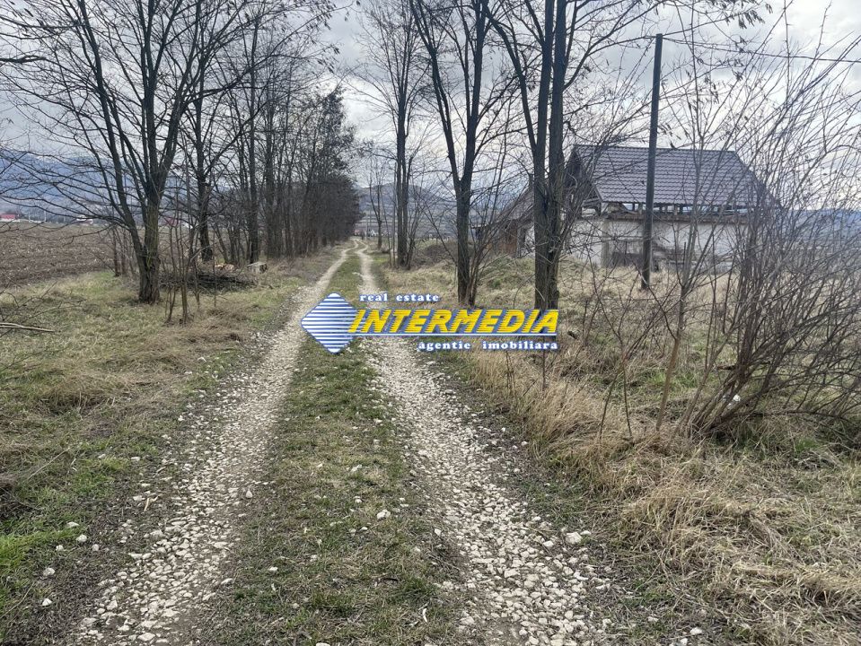 TEREN INTRAVILAN I 800 MP I IGHIU I LATIME 29 ML I IDEAL CASA SAU CABANA I – fotografia 5 din 5