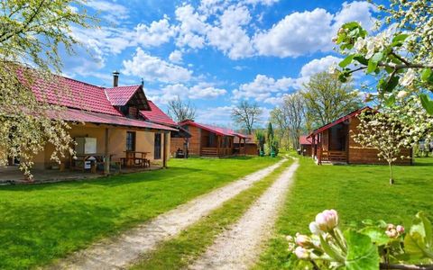 Complex turistic cu 10 cabane de vânzare în Remetea, Bihor