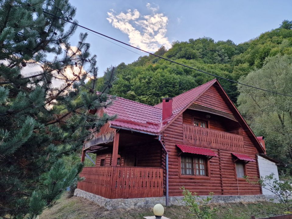 CABANĂ DE VÂNZARE ÎN ROMULI, BISTRIȚA-NĂSĂUD – fotografia 5 din 21