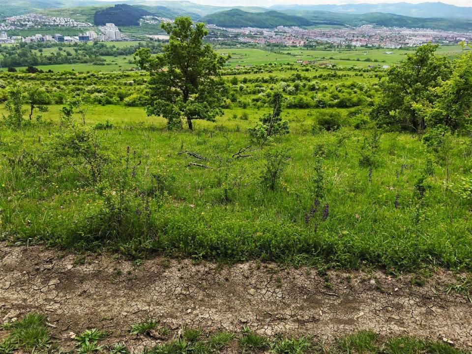 Teren vanzare Centura Donath Nord, 2900 mp – fotografia 11 din 11