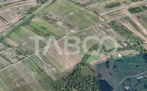 Teren de vanzare 17.000 mp in vecinatatea padurii Dumbrava