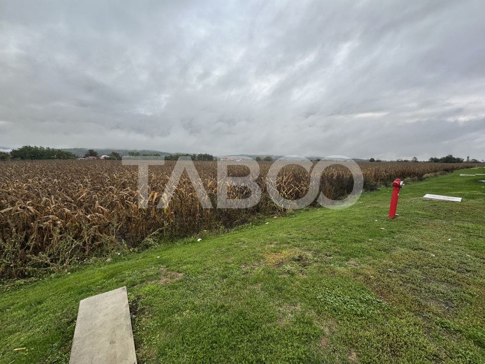Teren intravilan de vanzare 10000 mp cu utilitati in apropiere – fotografia 4 din 4