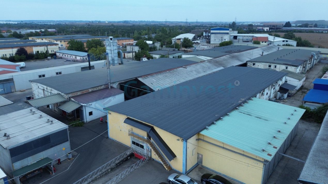 Oportunitate de investiție - Hale Industriale cu Randament ridicat in zona Borș – fotografia 8 din 19