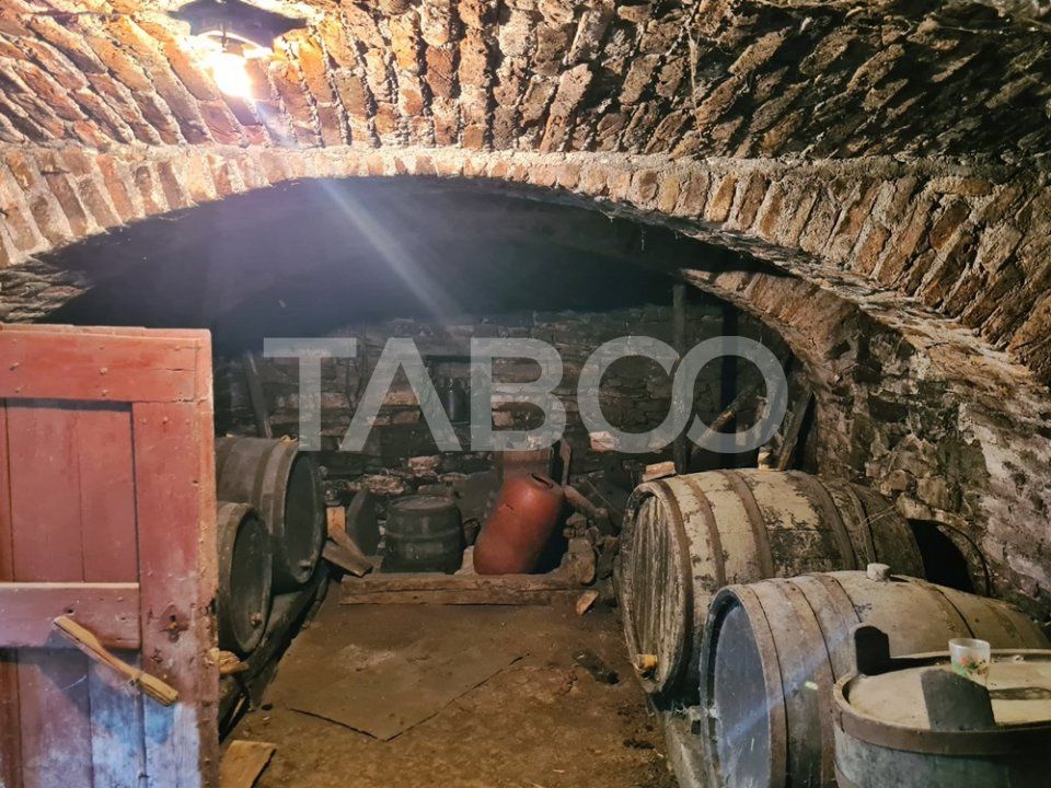 Casa de vanzare in comuna Cut Judetul Alba – fotografia 7 din 13