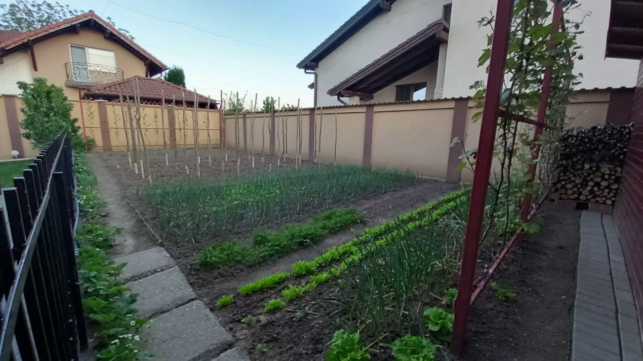 Casă Superba | CETATE Izvorului | 326 mp Teren | Curte | Terasă | Grădină – fotografia 19 din 51