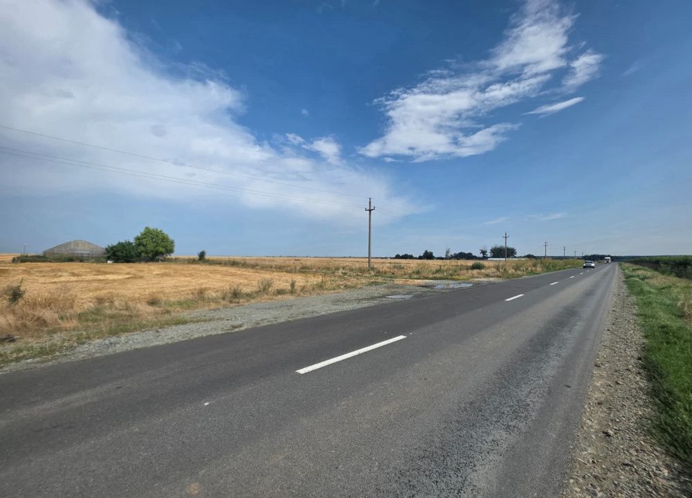 Teren intravilan 7ha, deschidere 234m la drum județean, Mihail Kogălniceanu – fotografia 2 din 4