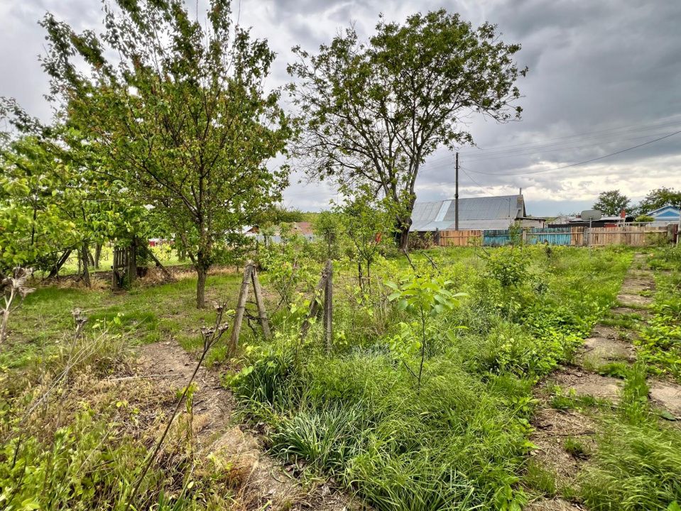 Casă + teren 4430 mp, vie și pomi fructiferi, 22 km de Tecuci – fotografia 12 din 36