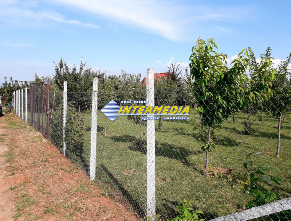 Teren Intravilan 481mp Alba Micesti, utilitati – fotografia 4 din 4