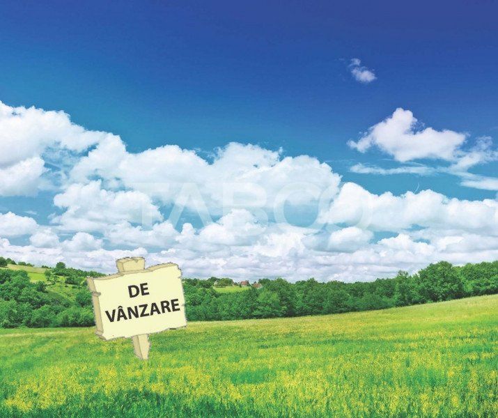 Teren intravilan de vanzare 5.986 mp Dealul Daii Sibiu – fotografia 4 din 4