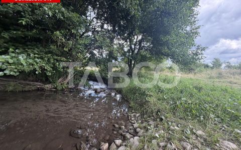 Teren extravilan 3650 mp latime 28 ml pretabil pentru cabana turistica