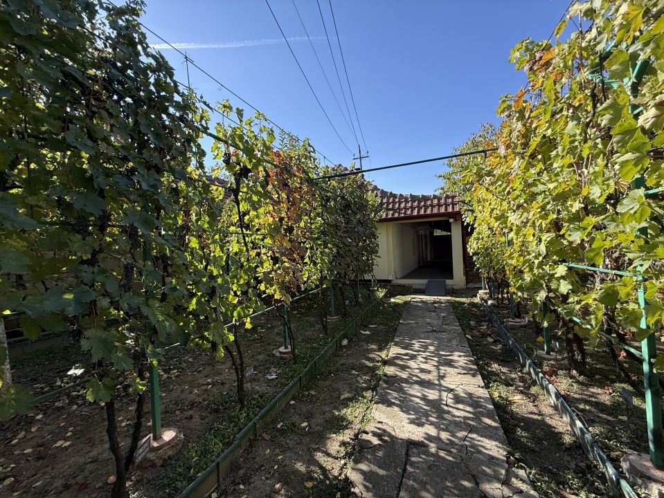Casa individuala cu 4 camere | 124 mp | 430 mp teren | zona Plopi – fotografia 34 din 39