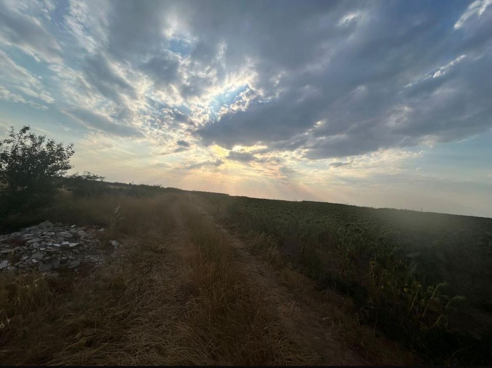 Teren intravilan, 9500 mp, Carcea – fotografia 1 din 2