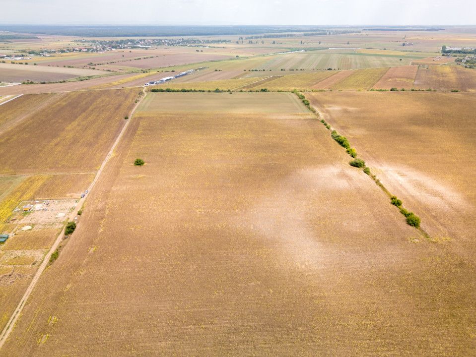 DASCALU – TEREN INTRAVILAN 11300 MP, INVESTITIE! – fotografia 7 din 18
