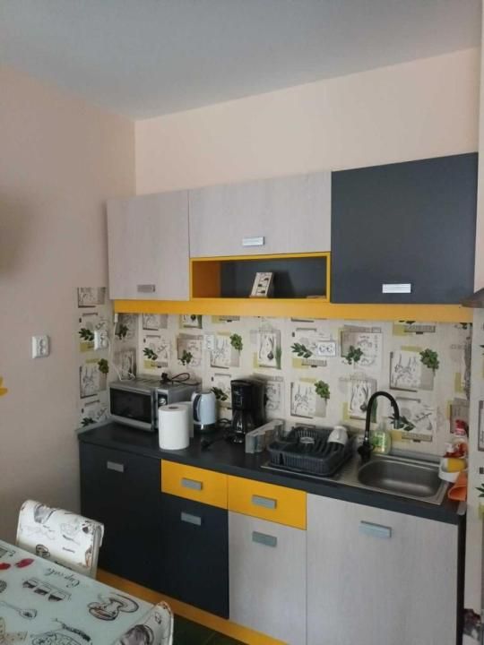 Casă cu 3 unități locative, potențial investițional excelent, zona UMF – fotografia 2 din 6