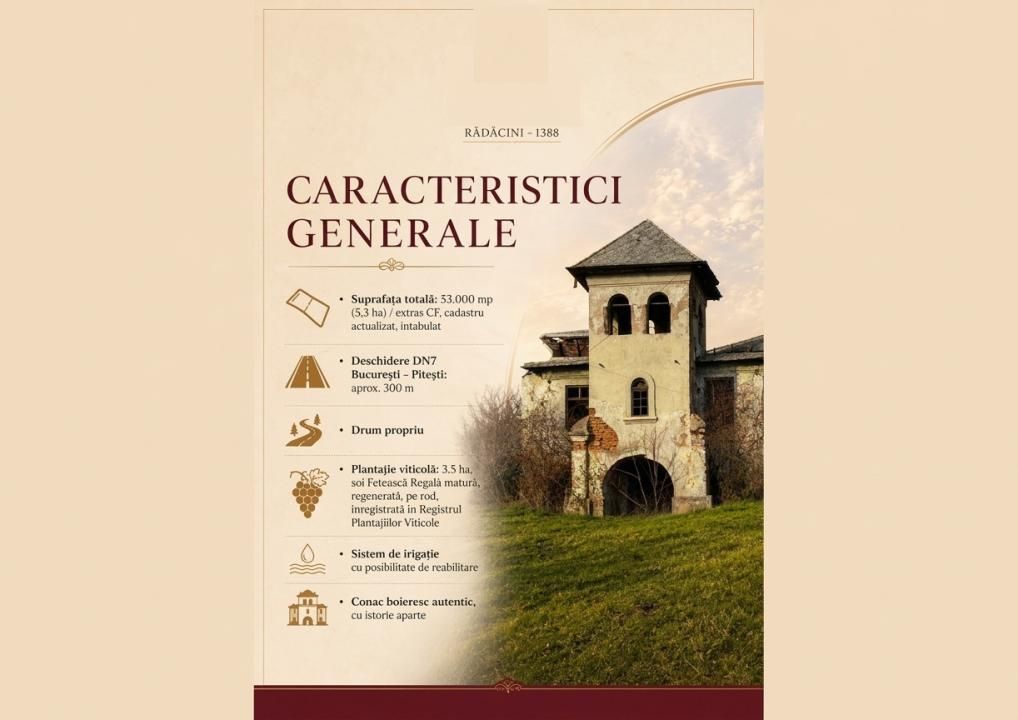 Domeniu viticol 5,5 ha, Conac boieresc | Călinești, Argeș – fotografia 2 din 4
