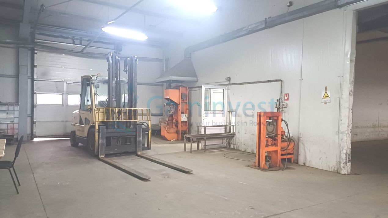 Spatiu industrial de vanzare in Biharia, hala 1200 mp si 23772 mp teren – fotografia 11 din 17