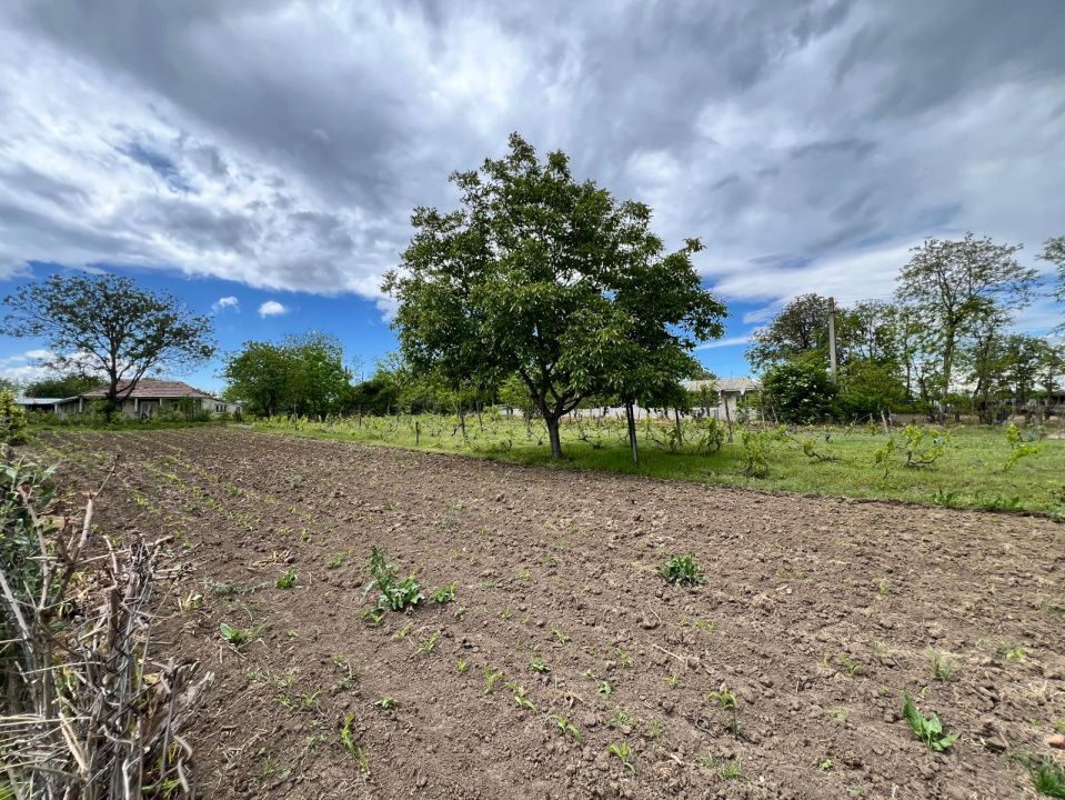 Casă + teren 4430 mp, vie și pomi fructiferi, 22 km de Tecuci – fotografia 8 din 36
