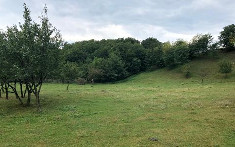 Teren intravilan Vălenii de Munte – 3.000 mp Ideal investiție sau locuinta