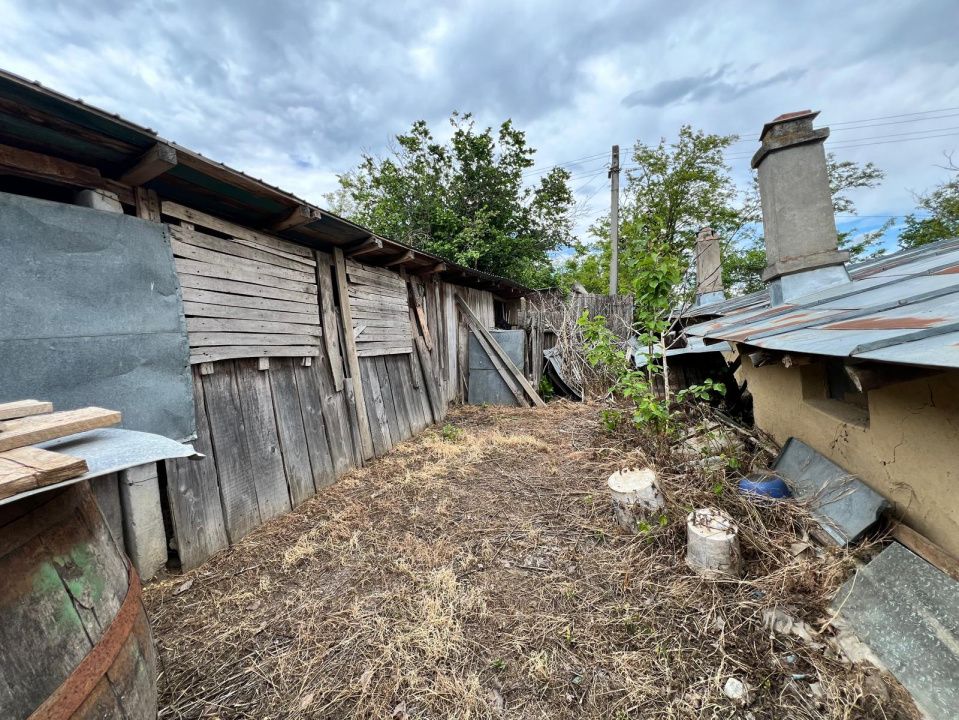 Casă + teren 4430 mp, vie și pomi fructiferi, 22 km de Tecuci – fotografia 35 din 36