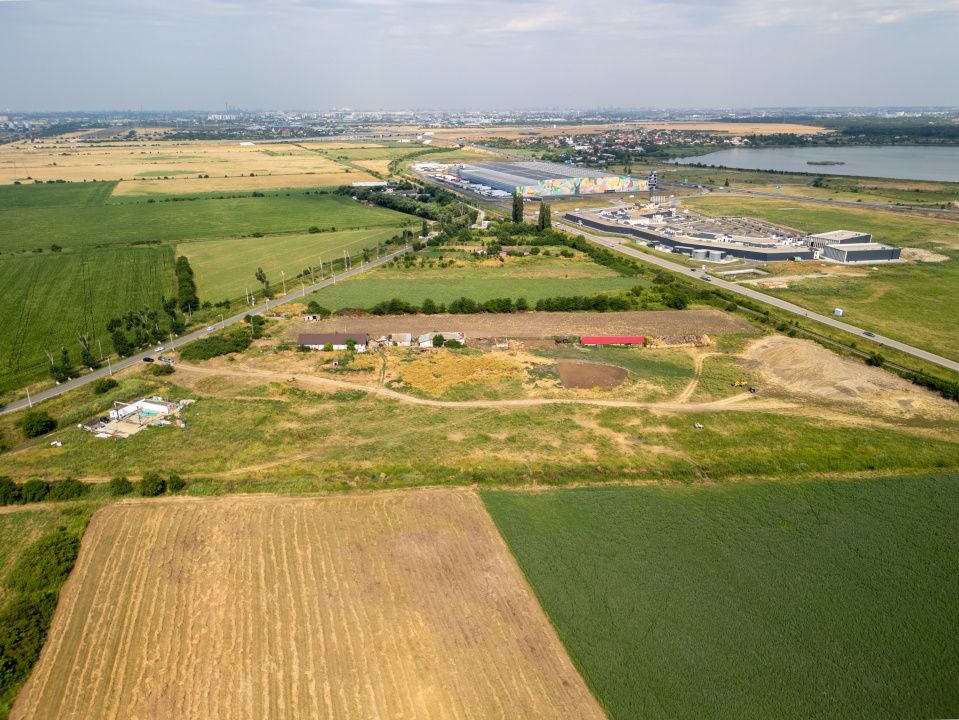 Teren Cernica,pentru Dezvoltare Rezidențială sau Industriala – fotografia 12 din 20