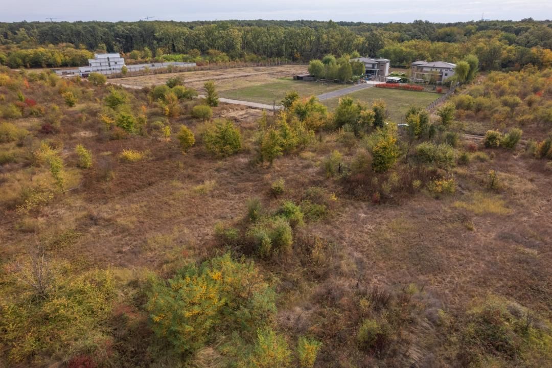 Oportunitate teren in Sector 1- 419 mp la doar 98 euro/mp – fotografia 8 din 9