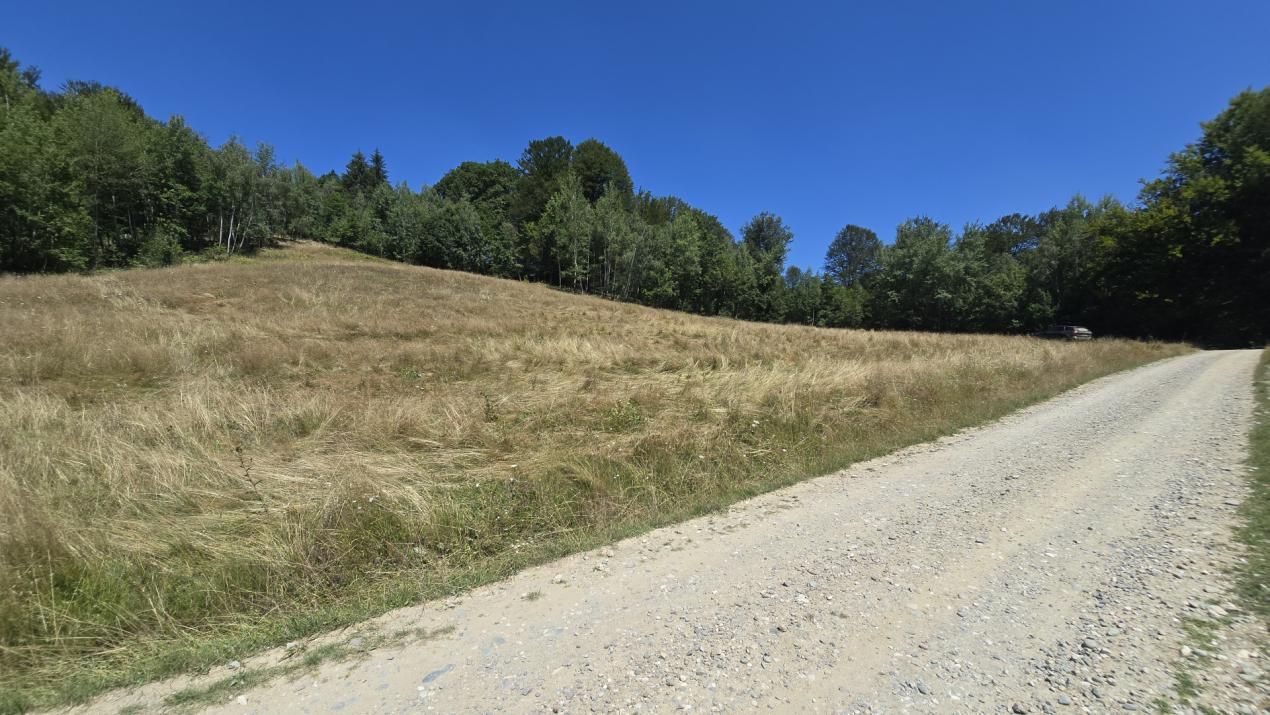 De vânzare teren de 36.200 mp teren în Poiana Mărului – fotografia 5 din 9