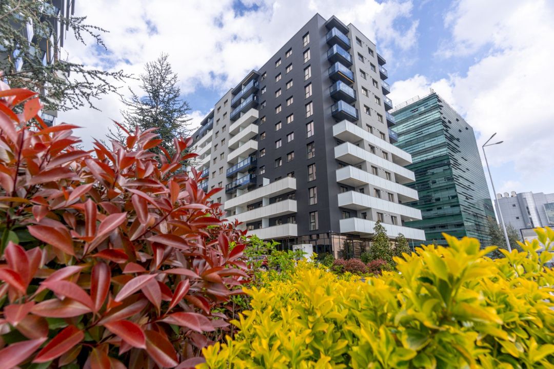 Studio Premium de vanzare | Cortina North | Persoana Fizica | Chirias Activ – fotografia 1 din 7